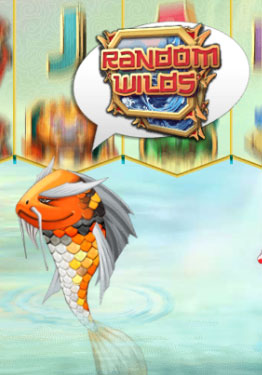 random-wilds