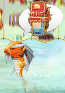 wild reels