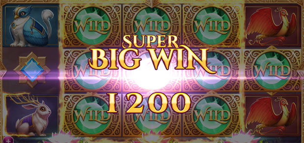 �P�Q�O�O�R�C��